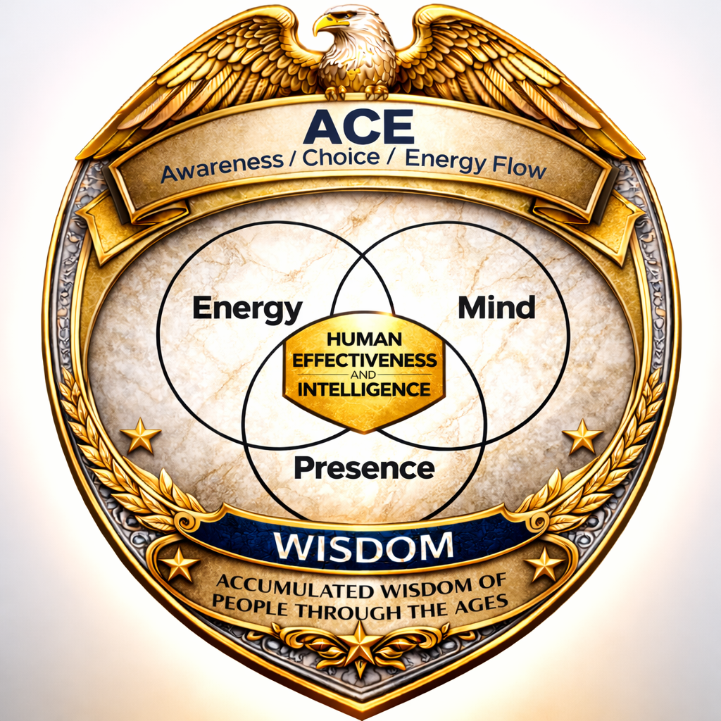 ACE Badge - Awareness, Choice, Energy Flow